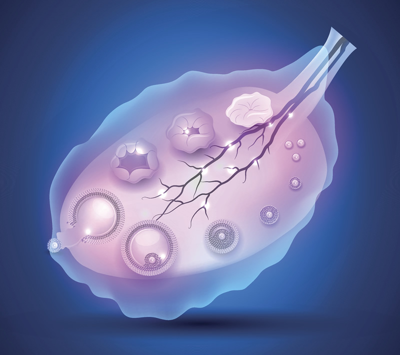 2026年马来西亚更好的第三代试管婴儿医院可靠吗？
